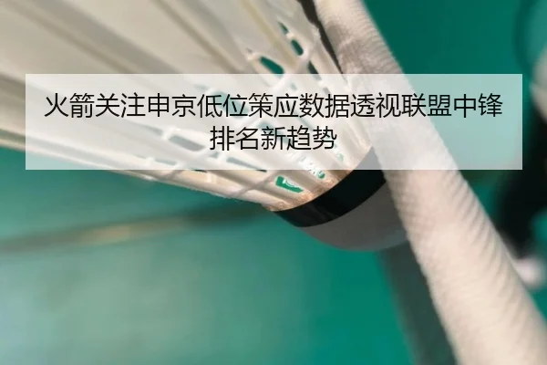 火箭关注申京低位策应数据透视联盟中锋排名新趋势