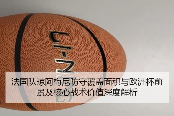 法国队琼阿梅尼防守覆盖面积与欧洲杯前景及核心战术价值深度解析