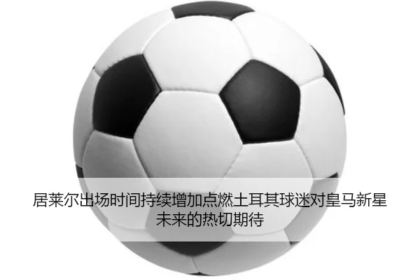 img_1781626369685_374_1_327.jpg